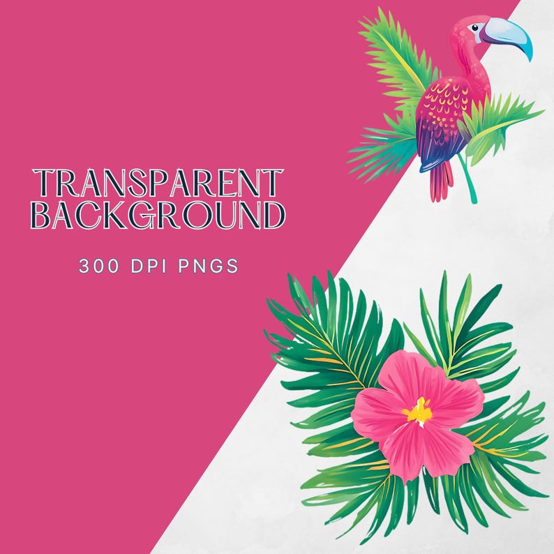 May include: Tropical clip art featuring a pink bird with a long beak, green palm leaves, and a pink hibiscus flower.  The image has a white background with the text "TRANSPARENT BACKGROUND 300 DPI PNGS".
