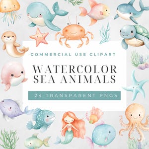 Underwater Sea Clip Art, Criaturas marinhas fofas, Oceano aquático, Caranguejo, Tubarão, Peixe, Tartarugas, Leões marinhos Png, Uso comercial