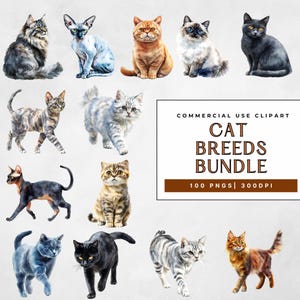 Paquete de 100 imágenes prediseñadas de razas de gatos, ilustraciones realistas de gatos en acuarela, gráficos de razas de mascotas, imágenes prediseñadas de sublimación de gatos, uso comercial