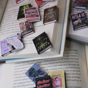Set of 76 Printable Mini Books Includes Some Popular Books From Tiktok.  Tiny Books That Can Be Downloaded and Printed 