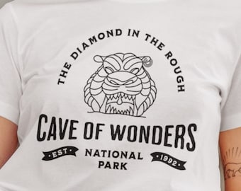 Aladdin Cave of Wonders T-Shirt | Disney National Park Parody