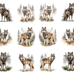 May include: A collection of watercolor illustrations of wolves in a forest setting. Each image features a wolf standing in a natural environment with trees in the background. The wolves have gray, brown, and white fur.