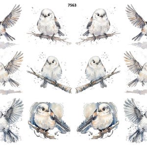 May include: Watercolor illustrations of small white birds with gray and brown wings. Some birds are perched on branches, while others are in flight. The artwork has a soft, artistic style with watercolor splatters.