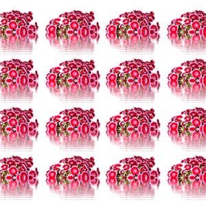 Shimmering Sweet William Bouquet - Ceramic Decal - Overglaze Decal - Fusible Decal - Food Safe - Lead Free - 3984