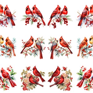 May include: Watercolor illustrations of pairs of red cardinal birds perched on branches with red berries and green leaves. Some images feature the birds with roses or holly. The number 7001 is in the upper left corner.
