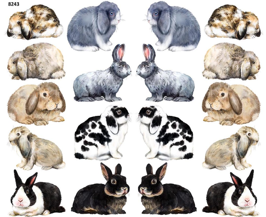 Watercolor Rabbits - Ceramic Decal - Overglaze Decal - Fusible Decal ...