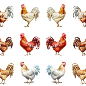 May include: A collection of rooster illustrations in various colors. The roosters feature red combs, detailed feathers, and different color combinations, including brown, white, and red. The roosters are standing on a white background.