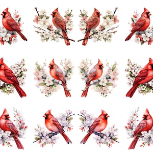 May include: Watercolor illustrations of red cardinals perched on flowering branches. The birds are depicted with vibrant red plumage and black masks, surrounded by white and pink blossoms. The images are arranged in a repeating pattern.