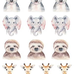 Baby Zoo Mugshots - Ceramic Decal - Overglaze Decal - Fusible Decal - Food Safe - Lead Free - 8042