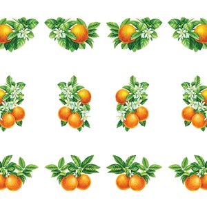 Citrus Branches - Ceramic Decal - Overglaze Decal - Fusible Decal - Food Safe - Lead Free - 8820