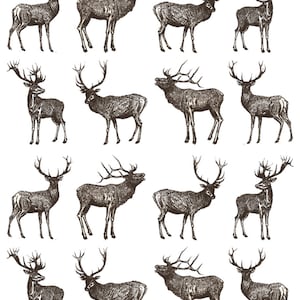 May include: A collection of sixteen detailed illustrations of stags with large antlers. The stags are depicted in various poses, all in a vintage, etched style. The images are in shades of brown and black against a white background.