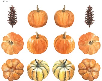 Watercolor Autumn Gourds and a Pine Cone -  Ceramic Decal - Overglaze Decal - Fusible Decal - Food Safe - Lead Free - 8214