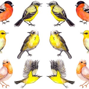 May include: Watercolor illustrations of various birds in shades of yellow, orange, and gray. The birds are depicted in different poses, including perched and in flight. The image includes the number "5864" in the upper left corner.