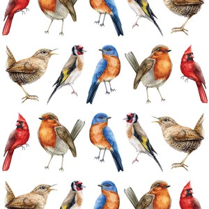 May include: A collection of watercolor bird illustrations, including a vibrant red cardinal, a robin with an orange breast, and a bluebird. Other birds include a wren and a goldfinch. The birds are depicted in a realistic style.