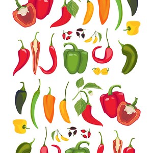 May include: A collection of colorful peppers and chili peppers in various shapes and sizes. The image features red bell peppers, orange and yellow peppers, green jalapeños, and red chili peppers, some whole and some sliced, with green leaves.