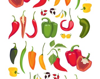 Mexican Chile Fresh Hot Peppers - Ceramic Decal - Overglaze Decal - Fusible Decal - Food Safe - Lead Free - 5977