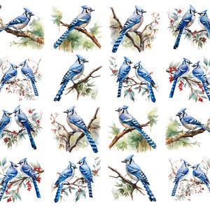 May include: Watercolor illustrations of blue jays perched on branches with leaves and berries. The birds are depicted in various poses, some alone and some in pairs, against a white background. The image includes the number "9638" in the upper left corner.