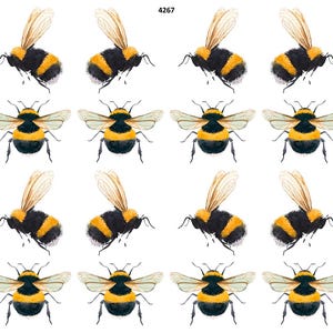 Bumble Beeing - Overglaze Ceramic + Enamel Decals - Food Safe - Lead Free - 4267