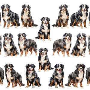 May include: A pattern of Bernese Mountain Dogs in various poses. The dogs have black, white, and brown markings. Some are standing, some are sitting, and all have a friendly expression. The background is white.