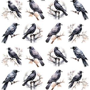 Sumi-e Ravens - Overglaze Ceramic + Enamel Decals - Food Safe - Lead Free - 7543