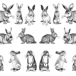 May include: A collection of detailed black and white illustrations of rabbits in various poses. Some rabbits are standing, others are sitting or lying down. The image includes the number "6060" in the upper left corner.