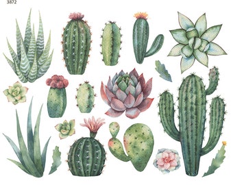 Cacti and Succulents - Overglaze Ceramic + Enamel Decals - Food Safe - Lead Free - 3872