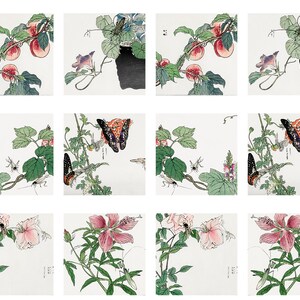 May include: A collection of square art prints featuring botanical illustrations in a traditional Japanese style. The prints depict peaches, butterflies, flowers, and insects on a white background. The artwork uses a soft color palette with green, pink, and orange hues.