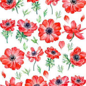 Anemone Flower Set -  Ceramic Decal - Overglaze Decal - Fusible Decal - Food Safe - Lead Free - 4777