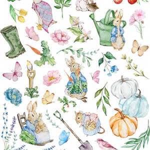 May include: Watercolor illustrations of various garden elements and characters, including rabbits, a goose, butterflies, flowers, vegetables, and a watering can. The artwork features soft pastel colors and a whimsical, storybook style.