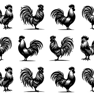 May include: A collection of twelve black and white rooster illustrations. Each rooster is depicted in a detailed, stylized manner, showcasing their feathers and posture. The roosters are in various poses, some standing and others with their beaks open.