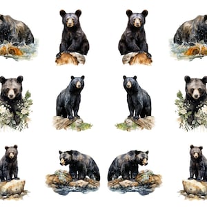 May include: Watercolor illustrations of black bears in various poses. Some bears are depicted in water, others on logs or rocks, and one with floral accents. The bears are rendered in shades of black, brown, and gray, with a white background.
