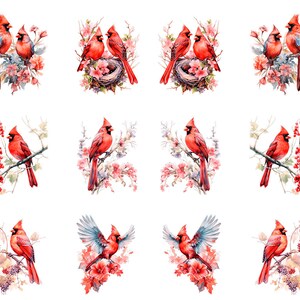 May include: Watercolor illustrations of red cardinal birds perched on flowering branches. Some images show pairs of cardinals, others feature a single bird. The artwork includes a bird's nest and various floral arrangements.