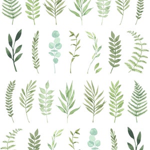 May include: Watercolor illustration of various green leaves and foliage. The image features an assortment of botanical elements, including fern fronds, eucalyptus branches, and other leafy sprigs in shades of green. The leaves are arranged on a white background.