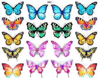 May include: A collection of colorful butterfly decals in various sizes and designs. The butterflies feature shades of blue, green, yellow, orange, pink, and purple. Each butterfly has intricate wing patterns and details, perfect for crafts and decorations.