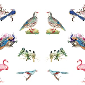 May include: A collection of colorful bird illustrations on a white background. The image features various birds, including a peacock, flamingo, and bluebirds, with floral accents. The birds are depicted in a vintage style.