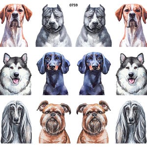 May include: Watercolor portraits of various dog breeds, including a Corgi, Beagle, Husky, and Dachshund. The artwork features detailed depictions of each dog's unique features and expressions, with a white background.
