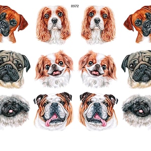 May include: A collection of watercolor illustrations of various dog breeds, including a Boxer, Cavalier King Charles Spaniel, Pug, Japanese Chin, Pekingese, and Bulldog. Each dog is depicted with detailed fur and facial features.