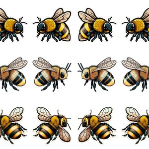 May include: A collection of twelve cartoon bee illustrations. The bees have yellow and black striped bodies, with detailed wings and antennae. The bees are in various poses, some with wings spread and others with wings folded.