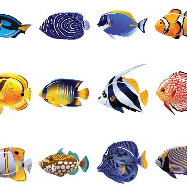 Tropical Fish -  Ceramic Decal - Overglaze Decal - Fusible Decal - Food Safe - Lead Free - 1893