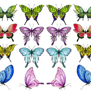 May include: A collection of colorful butterfly illustrations in various designs. The butterflies feature a range of colors, including green, red, purple, yellow, blue, and pink. Each butterfly has detailed wing patterns and delicate antennae, set against a white background.