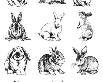 Rabbits  -  Ceramic Decal - Overglaze Decal - Fusible Decal - Food Safe - Lead Free - 0139