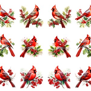 May include: Watercolor illustrations of red cardinal birds perched on branches with holly and red berries. The birds have bright red feathers and crests, with gray and brown accents. The artwork is set against a white background.