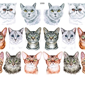 Feline Faces - Ceramic Decal - Overglaze Decal - Fusible Decal - Food Safe - Lead Free - 1333