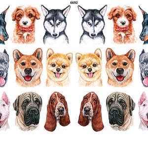 May include: A collection of watercolor illustrations of various dog breeds, including a Doberman, Husky, Shiba Inu, and Bulldog. Each dog is depicted with detailed fur and facial features, showcasing a range of colors and expressions.
