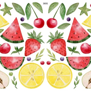 Summer Fruits - Overglaze Ceramic + Enamel Decals - Food Safe - Lead Free - 1831