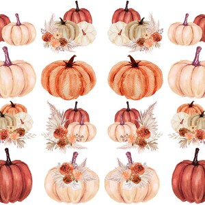 May include: Watercolor illustrations of pumpkins in various colors, including orange, cream, and deep red. Some pumpkins are paired with floral arrangements featuring dried grasses and orange flowers. The pumpkins have green or purple stems.