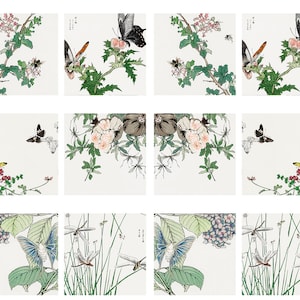 May include: A collection of square art prints featuring botanical illustrations with butterflies, dragonflies, and flowers. The prints showcase a variety of colors, including green, pink, yellow, and blue, against a white background. The style is reminiscent of traditional Japanese art.
