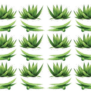 May include: A repeating pattern of green aloe vera plants and leaves with water droplets. The aloe vera plants are upright with pointed leaves. The leaves are curved with a green sphere at the base. The background is white.