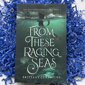 From These Raging Seas Book Box