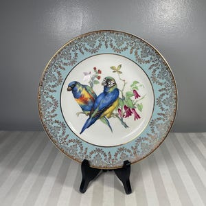 Porcelain Pair of Parrots and Flowers Liverpool Pottery 10&quot; Decorative Plate